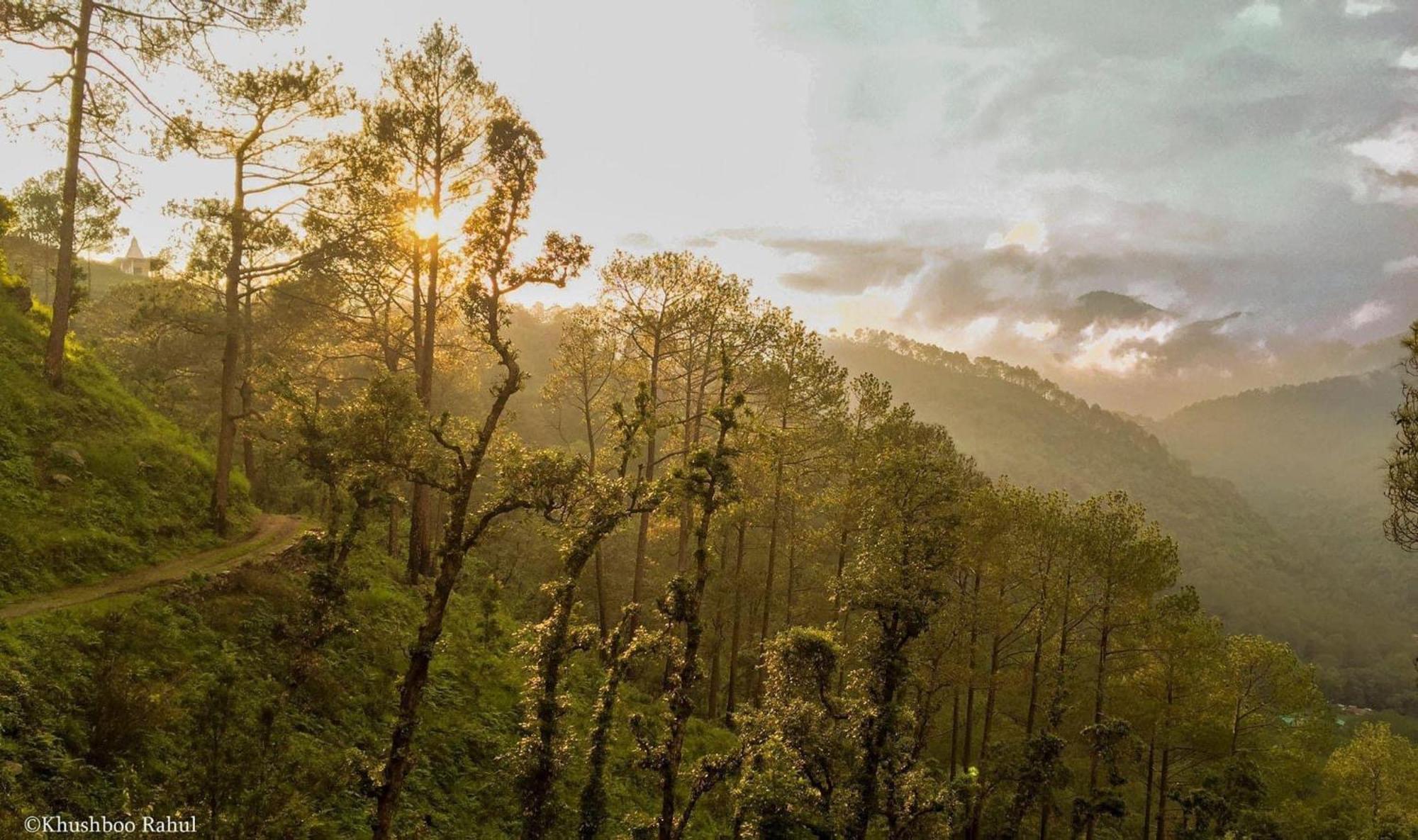 Incredible Birding Camp Apartment Bhimtal Bagian luar foto