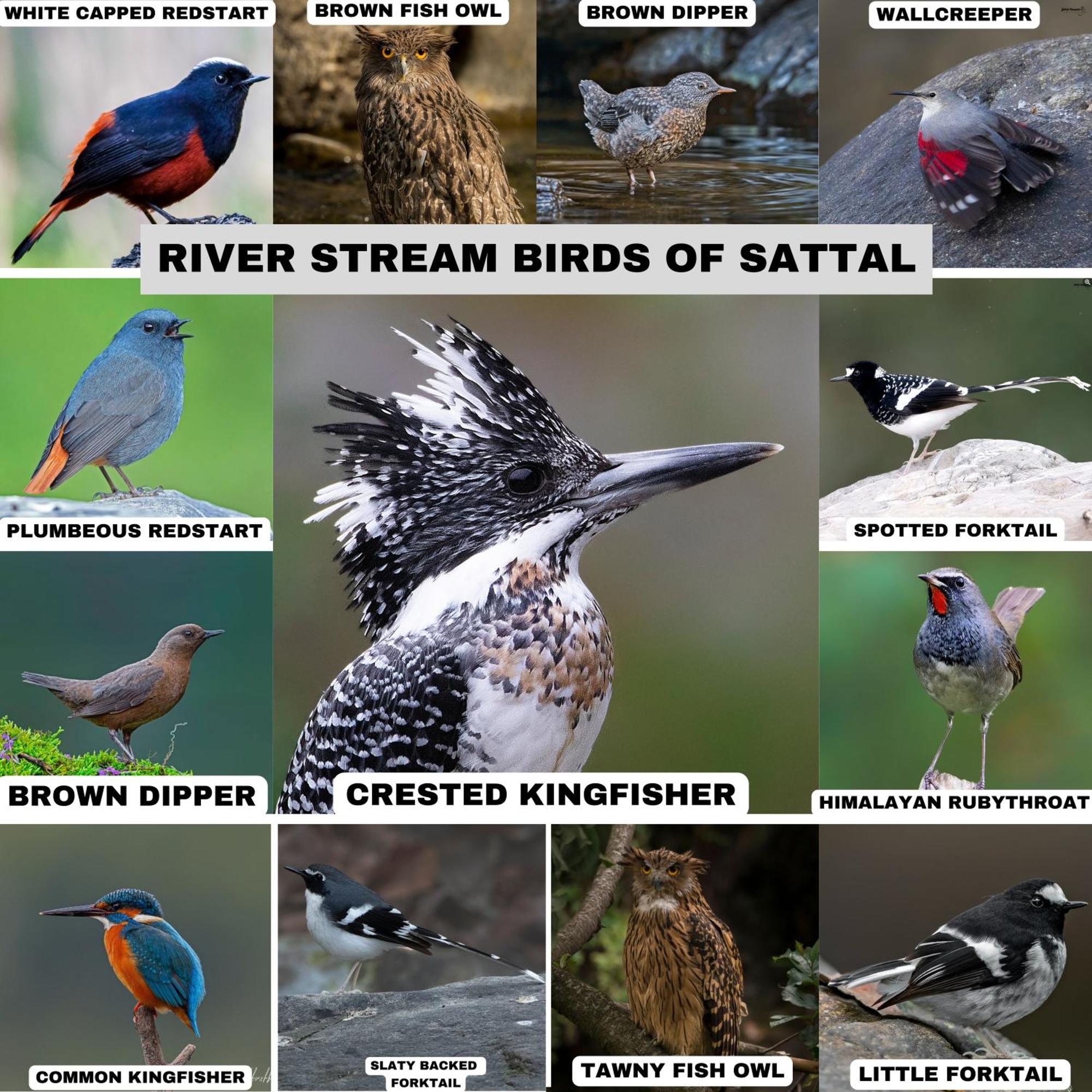 Incredible Birding Camp Apartment Bhimtal Bagian luar foto
