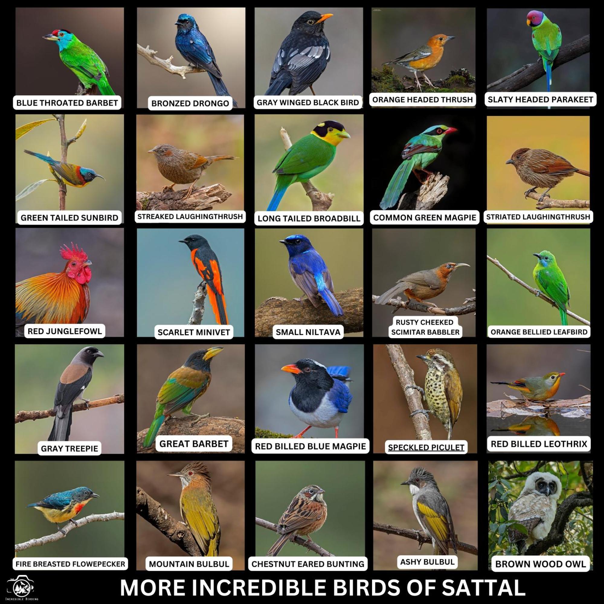 Incredible Birding Camp Apartment Bhimtal Bagian luar foto