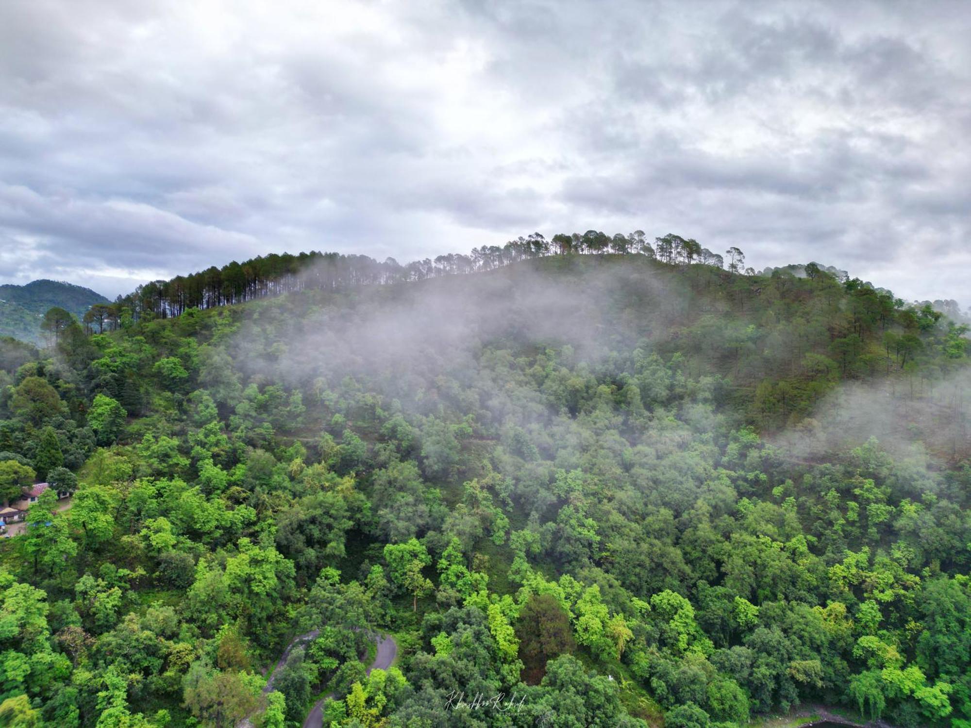 Incredible Birding Camp Apartment Bhimtal Bagian luar foto